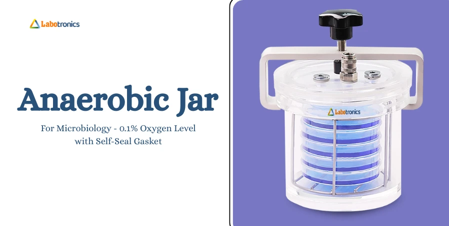 Anaerobic Jar For Microbiology: 0.1% Oxygen Level With Self-Seal Gasket
