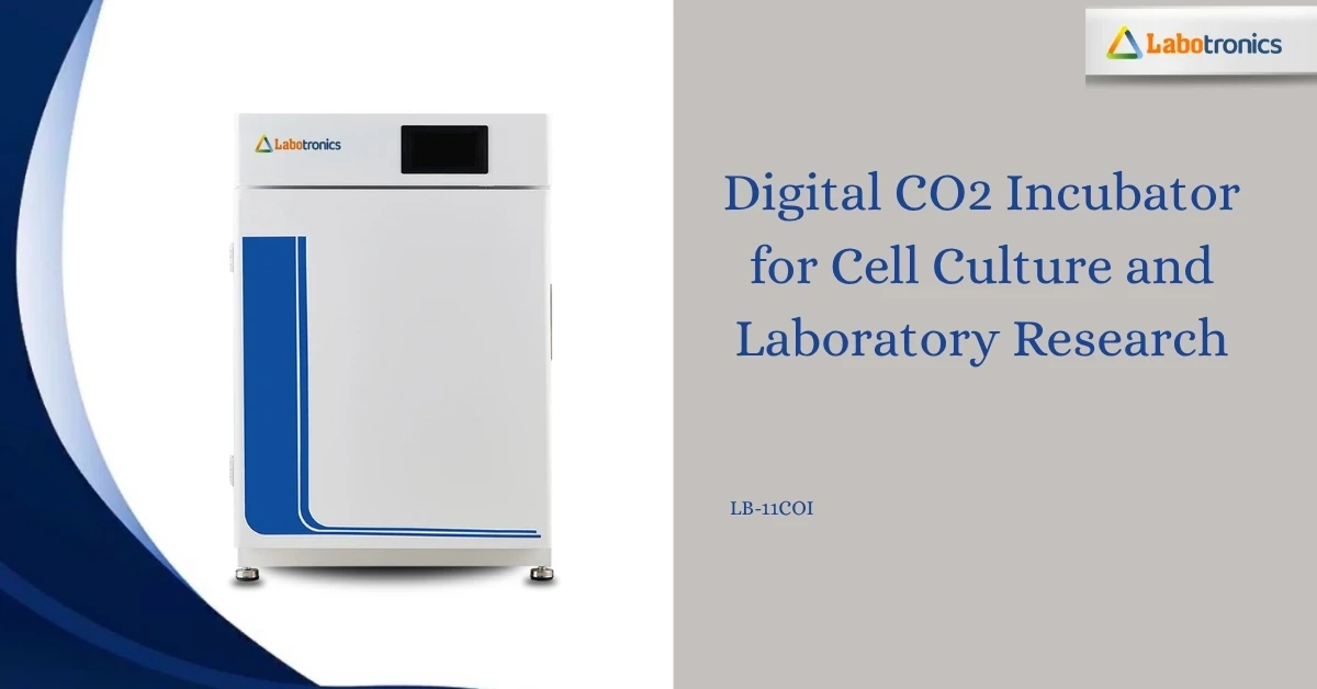 CO2 Incubator | Digital CO2 Incubator For Cell Culture And Laboratory Research