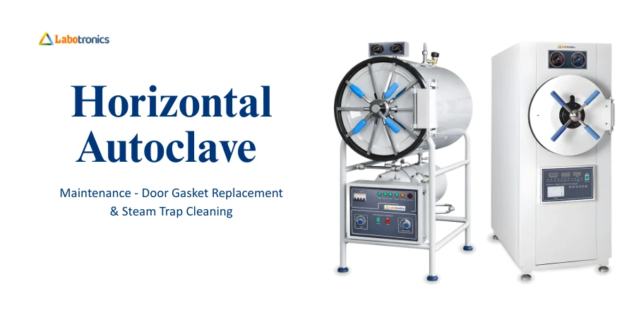 Horizontal Autoclave Maintenance: Door Gasket Replacement & Steam Trap Cleaning