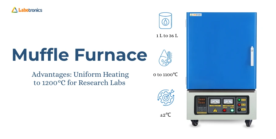 Muffle Furnace Advantages: Uniform Heating To 1200°C For Research Labs
