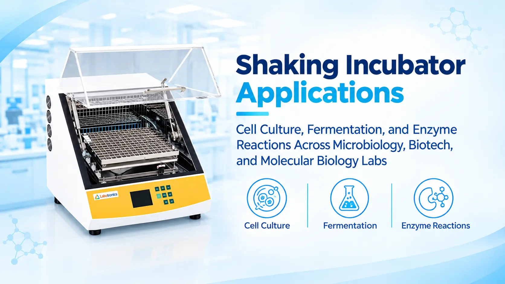 Shaking Incubator Applications: Cell Culture, Fermentation, And Enzyme Reactions Across Microbiology