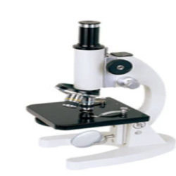 UNICO IV953 Series IV950 Inverted Binocular Microscope Plan Phase 10X Wide Field Eyepiece 10X 20X & 40X 4X Bright Field 