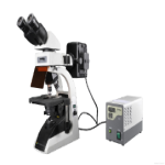 Fluorescence Biological Microscope LB-20FBM