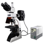 Fluorescence Biological Microscope LB-21FBM