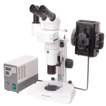 Fluorescent Stereo Microscope