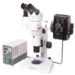 Fluorescent Stereo Microscope LB-12FSM