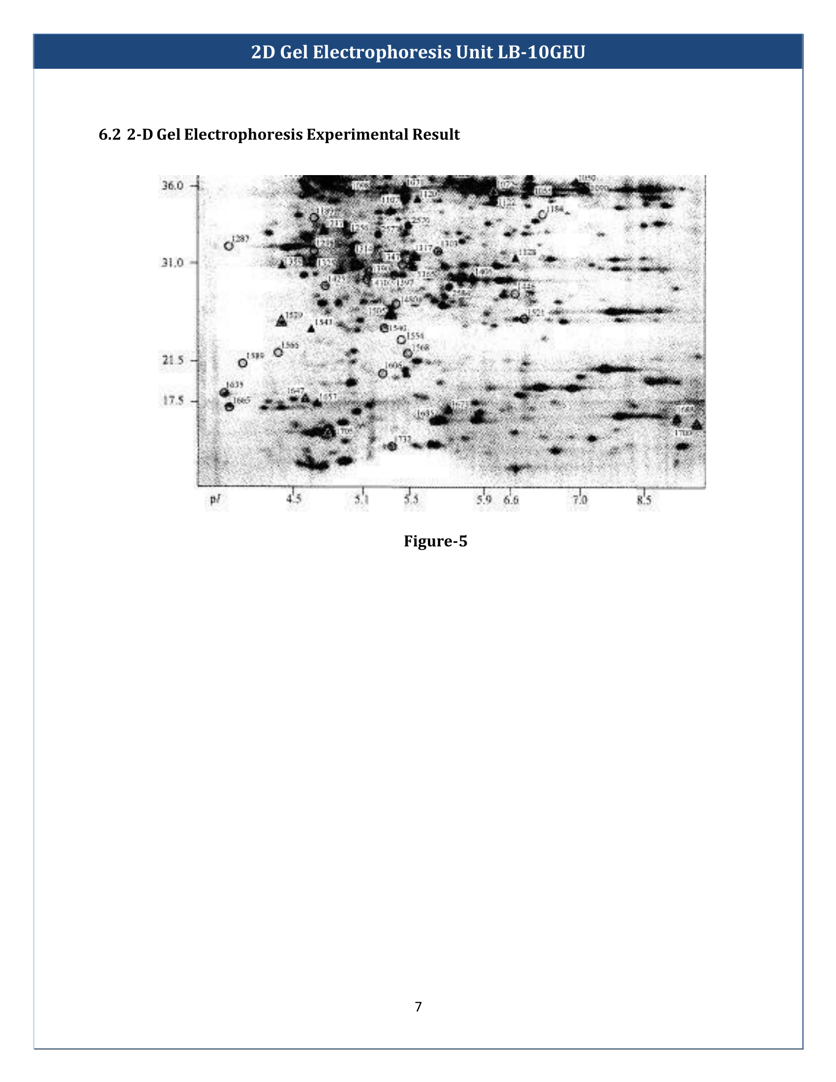 2D-Gel-Electrophoresis-Unit-LB-10GEU-7.png