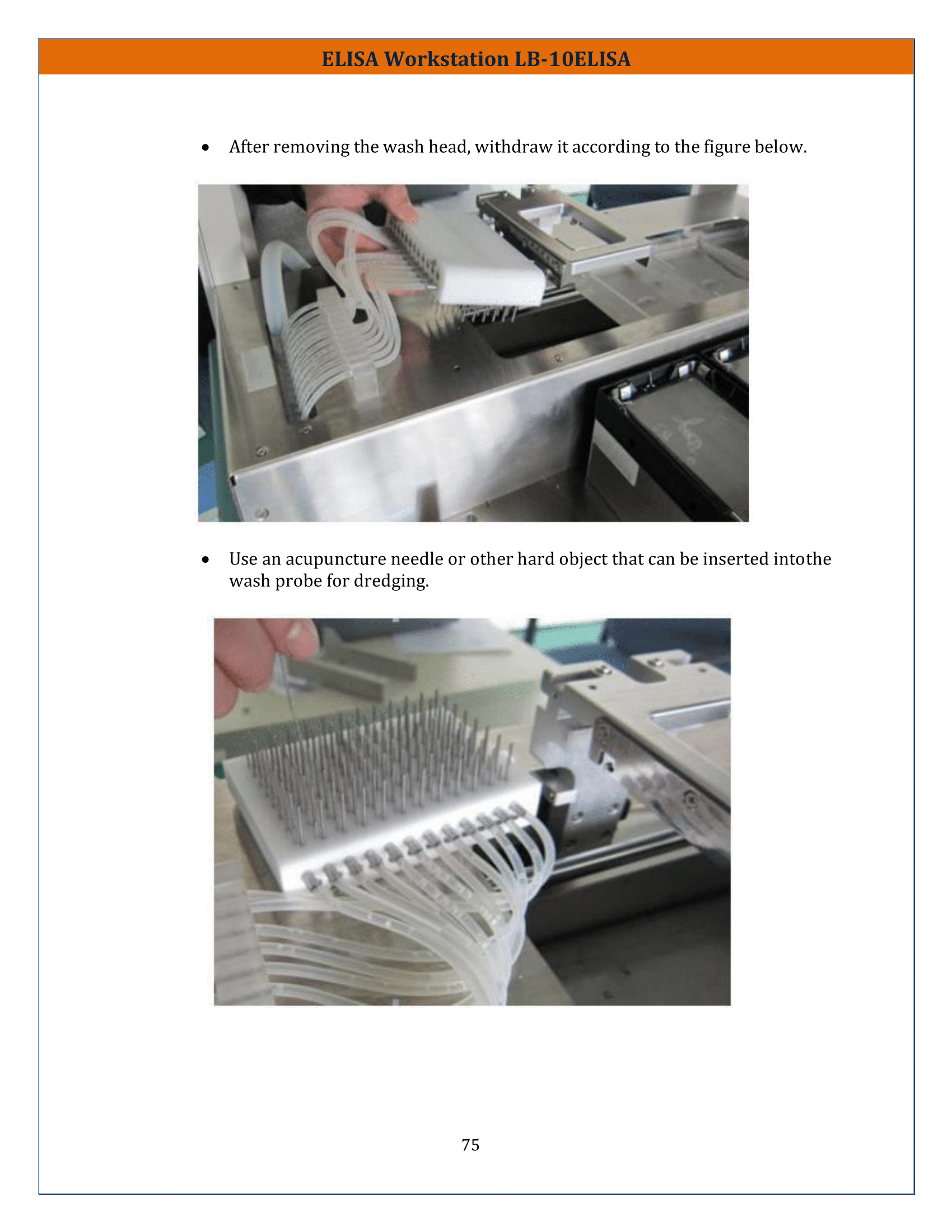 ELISA-Workstation-LB-10ELISA-76.png