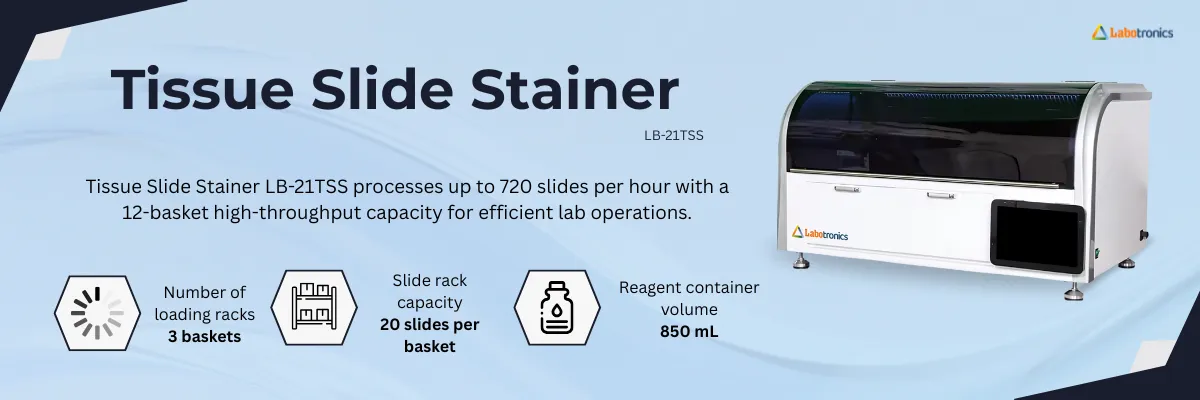 Tissue Slide Stainer LB-21TSS Banner