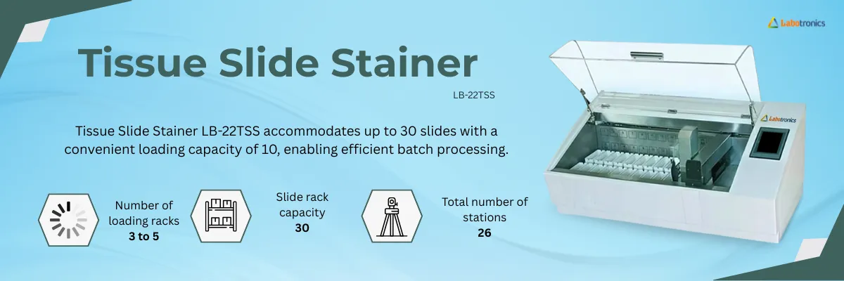 Tissue Slide Stainer LB-22TSS Banner