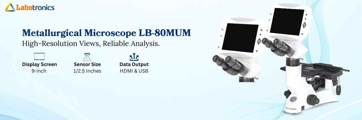 Metallurgical Microscope LB-80MUM 
